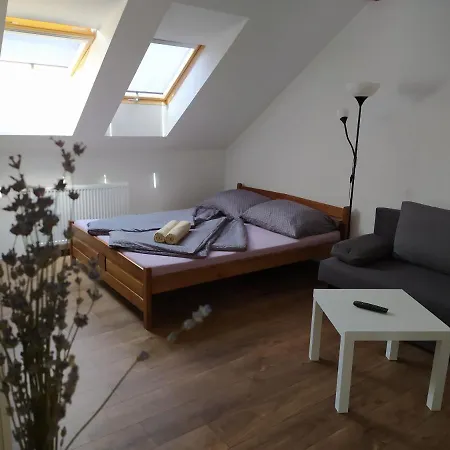 Levandule A Palava Starovicky