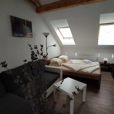 Levandule A Palava