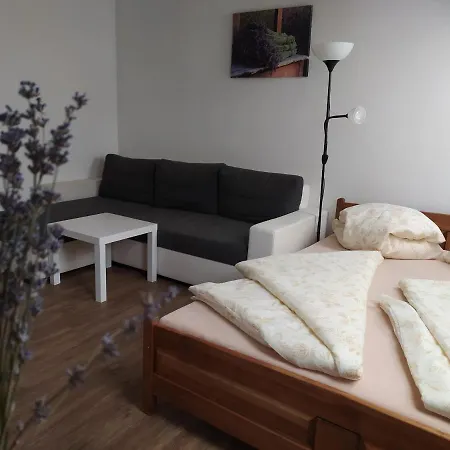 Levandule A Palava Guest house 3*