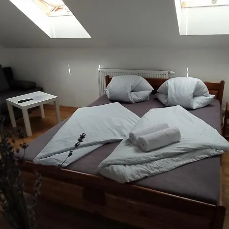 Levandule A Palava