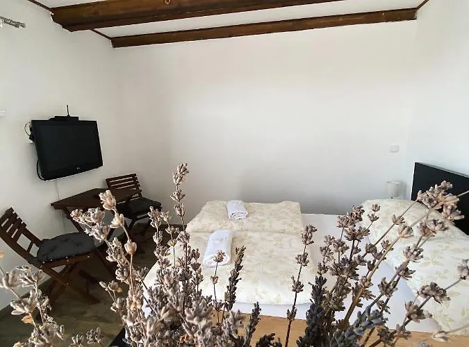 Levandule A Palava 3* Starovicky