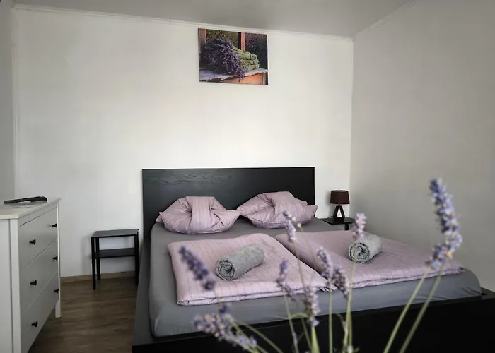 بيت ضيافة Levandule A Palava Starovicky