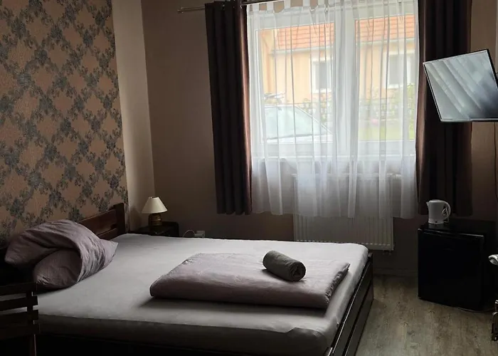 Levandule A Palava Starovicky