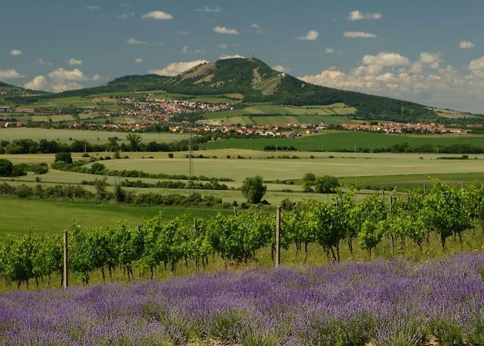 Levandule A Palava بيت ضيافة Starovicky